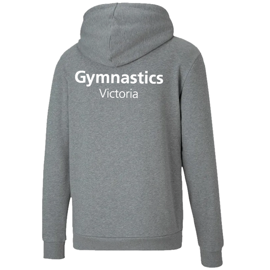 Team Hoodie (Optional)